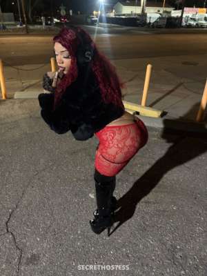 Stella 20Yrs Old Escort Boulder CO Image - 3