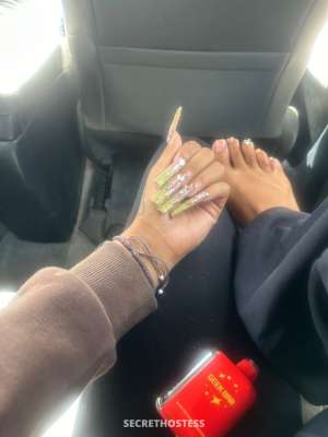 Stella 20Yrs Old Escort Boulder CO Image - 4