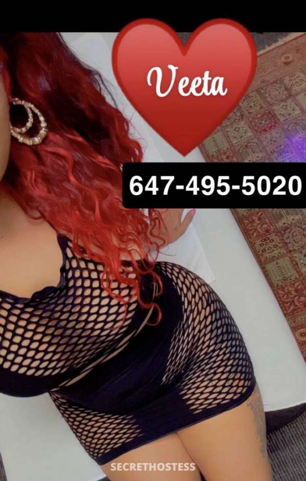 Morning specials $$$$$$$$ 28Yrs Old Escort Oakville Image - 13