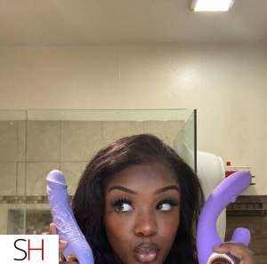 24Yrs Old Escort Quebec City Image - 2