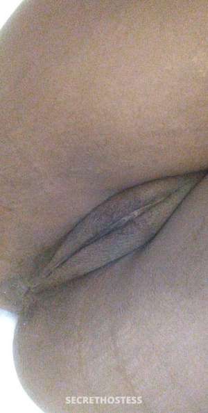 Amber 26 year old Escort in Worcester MA