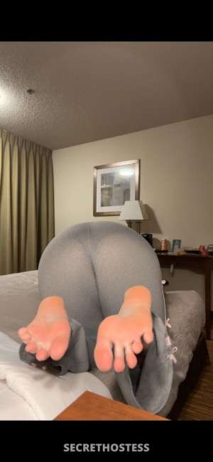 💗 sweet • curvy • sexy 💗 outcall/incall available 23 year old Escort in Olympia WA