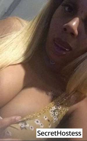 Escort model Sonninya, Cleveland 20 year old Escort in Cleveland OH