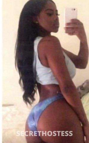 tracy available now 21 year old Escort in Hudson Valley NY
