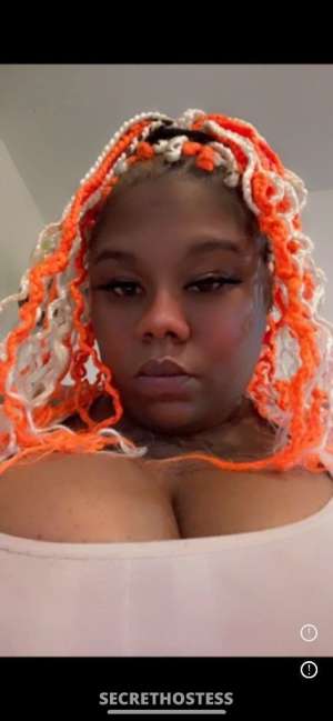 28Yrs Old Escort College Station TX Image - 2