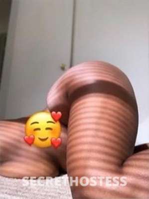 Pretty Tight AND WET 30 year old Escort in Greensboro NC