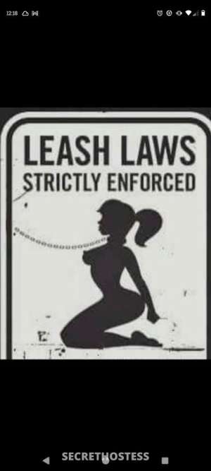 S P E C I A L S Tiger Lilly Av i b e 35 year old Escort in Terre Haute IN