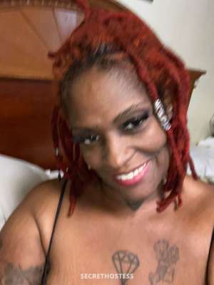 Fav BBW QV $70 15 min $60 for 10 mim TEXT ME 41 year old Escort in Little Rock AR