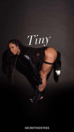 Tiny 27Yrs Old Escort Image - 3