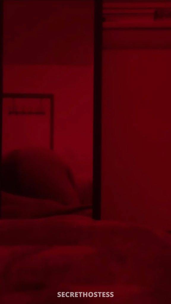 24Yrs Old Escort Shreveport LA Image - 1