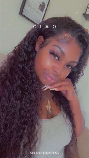 splashy temptation 23 year old Escort in Chico CA