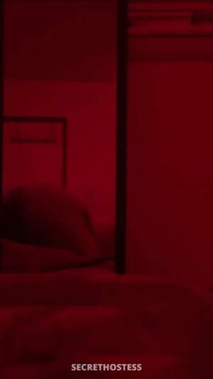 24Yrs Old Escort Shreveport LA Image - 1