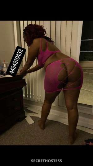 Chocolate Goddess is back 32 year old Escort in Southern Maryland DC