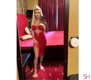Alice. Your Luxury Escape From Reality ., Independent 20 year old Escort in Belfast
