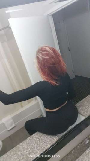 Katie 30Yrs Old Escort 175CM Tall Cincinnati OH Image - 4
