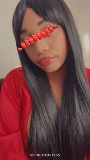 Star🌟 23Yrs Old Escort Chicago IL Image - 2