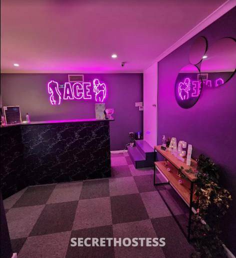 33Yrs Old Escort Gosford Image - 1