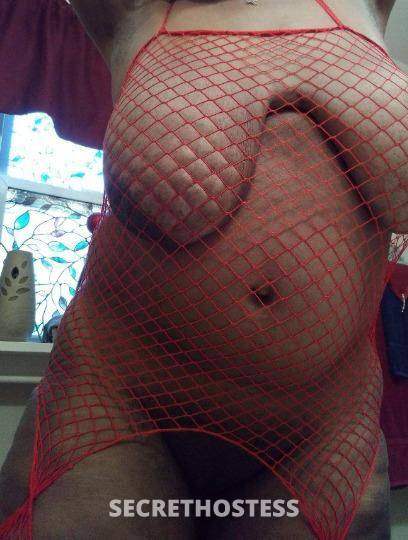 56Yrs Old Escort Norfolk VA Image - 2