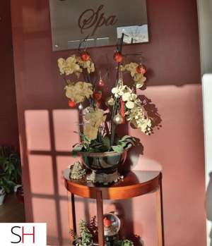 25Yrs Old Escort Burnaby/New Westminster Image - 5