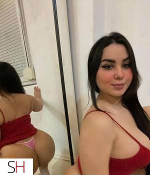 25Yrs Old Escort Hamilton Image - 3