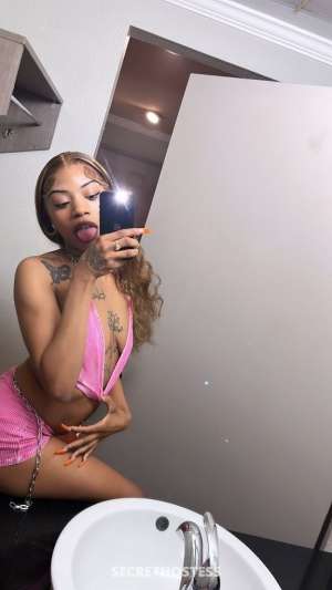 i can make your dreams come true 21 year old Escort in North Bay CA