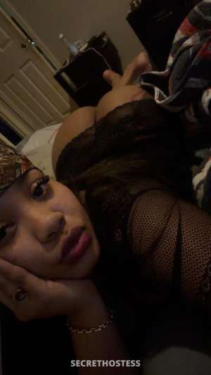 27 year old Dominican Escort in Los Angeles CA Dominican pussy incall