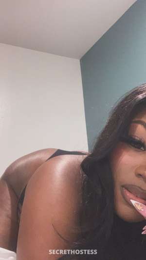 BABE 24Yrs Old Escort Baton Rouge LA Image - 6