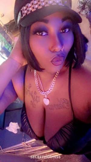 Chocolate 33Yrs Old Escort Cleveland OH Image - 3