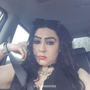 Elise 24Yrs Old Escort Maitland Image - 1