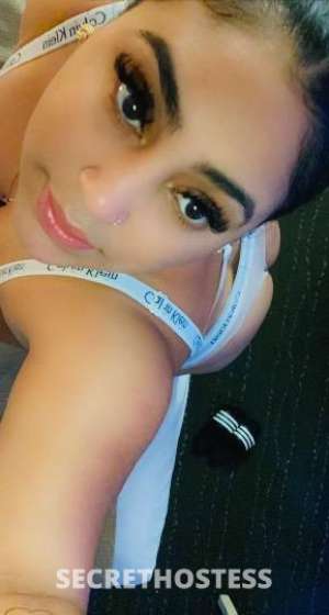 26 year old Escort in Miami FL sexy latin