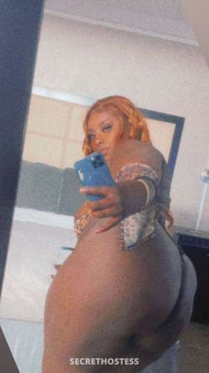 STAR 26Yrs Old Escort Austin TX Image - 1