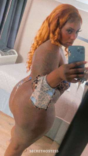 STAR 26Yrs Old Escort Austin TX Image - 3