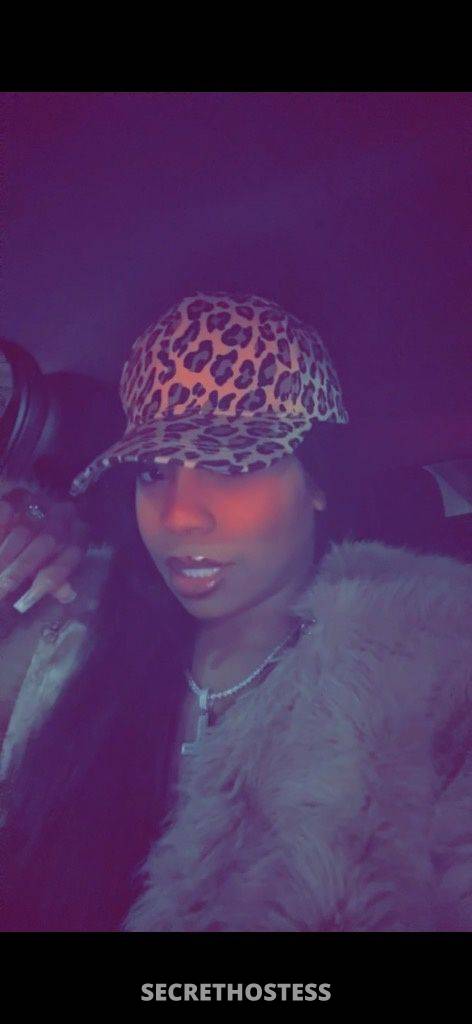 28Yrs Old Escort Corpus Christi TX Image - 2