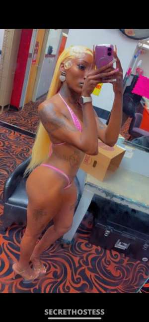 Chocolate Gripping Wet Pussy Come Let Me Relax U 23 year old Escort in North Mississippi MS