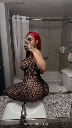 23Yrs Old Escort Toledo OH Image - 4