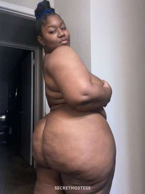 31 year old Escort in North Mississippi MS New in town fat juicy pussy