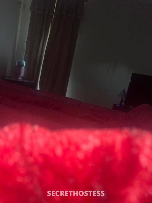 Ricky 50Yrs Old Escort Gosford Image - 0