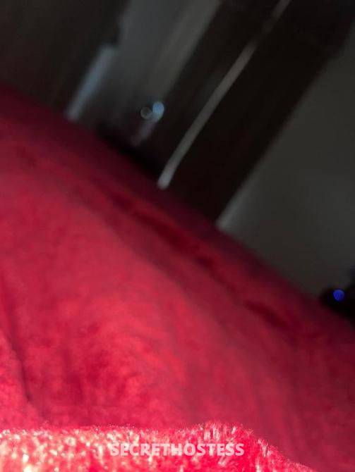 Ricky 50Yrs Old Escort Gosford Image - 1