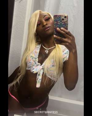 Coco 22Yrs Old Escort Jacksonville FL Image - 5