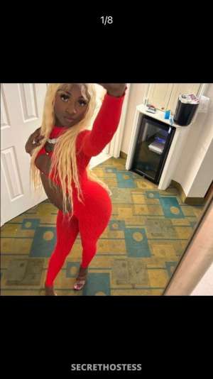 Coco 22Yrs Old Escort Jacksonville FL Image - 10