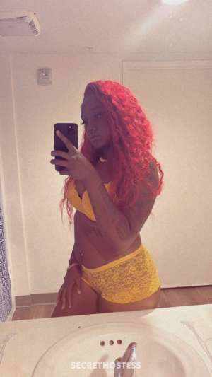 Melly 23Yrs Old Escort Los Angeles CA Image - 1
