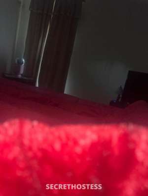 Ricky 50Yrs Old Escort Gosford Image - 0