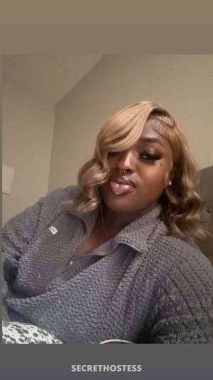 Star 23Yrs Old Escort Image - 7