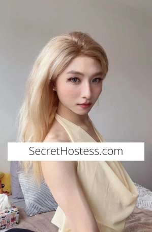 24Yrs Old Escort 51KG 168CM Tall Sydney Image - 2