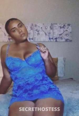 27Yrs Old Escort Concord CA Image - 3