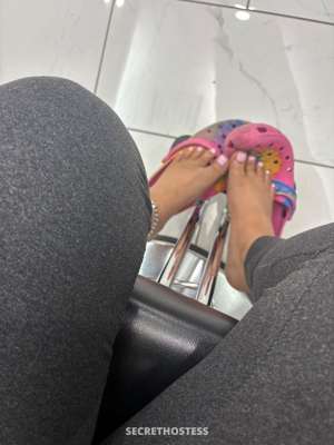 Ciana 22Yrs Old Escort Canton OH Image - 6