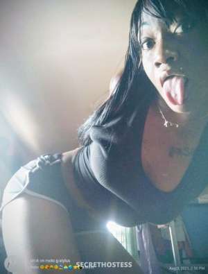 fresh out the shower two chocolate kittens home alone 27 year old Escort in Queens NY