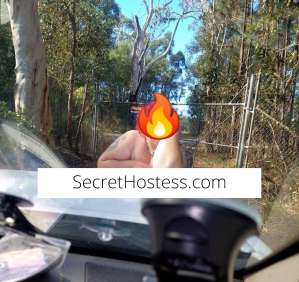 53Yrs Old Escort Brisbane Image - 2