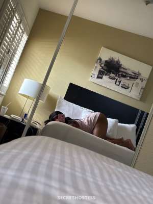 🩷Elite Blasian Companion 23 year old Escort in Reno NV