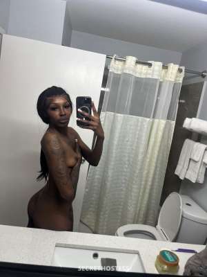 25 year old Escort in Wichita Falls TX text me